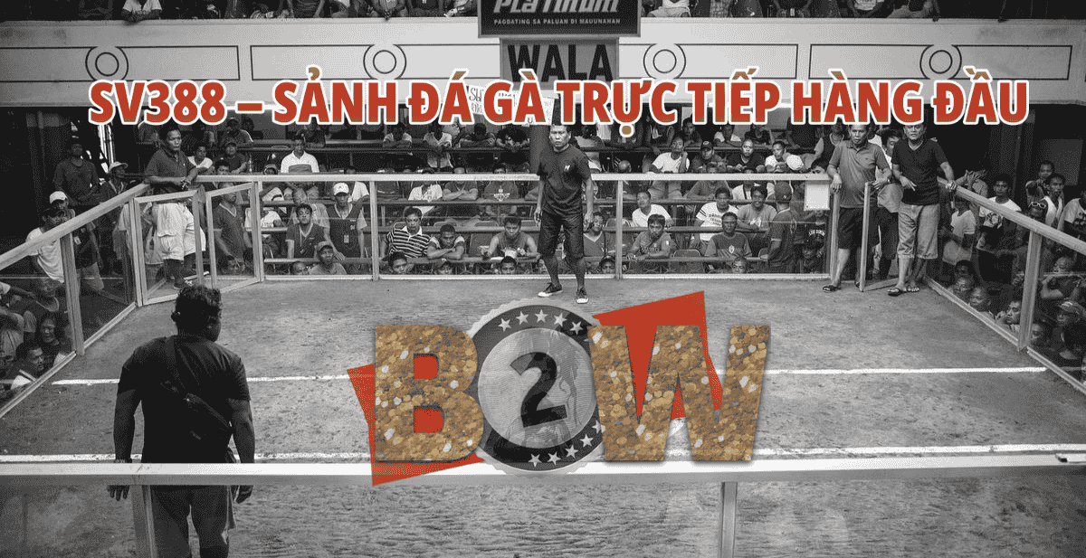 lấy trang đá gà SV388 giá gốc