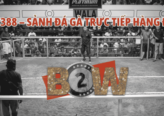 lấy trang đá gà SV388 giá gốc