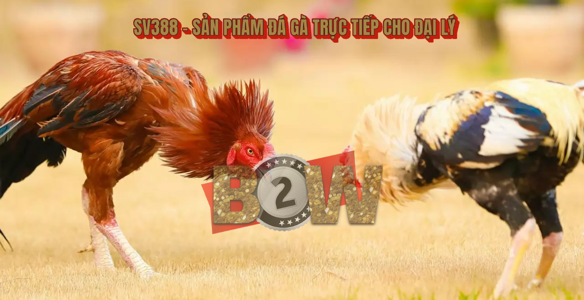 đá gà trực tiếp