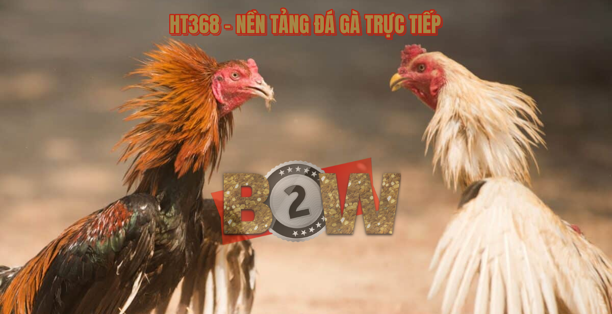 đá gà trực tiếp