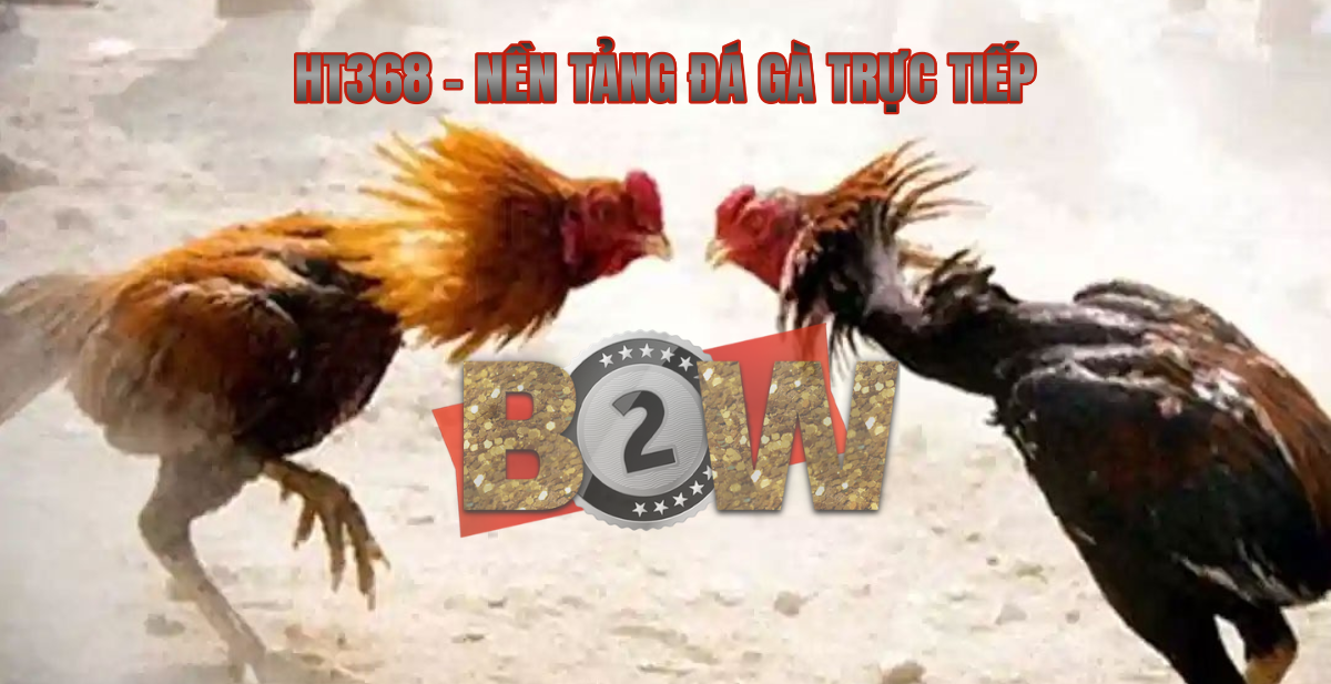 đá gà trực tiếp