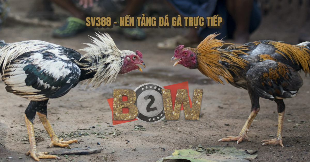 đá gà trực tiếp